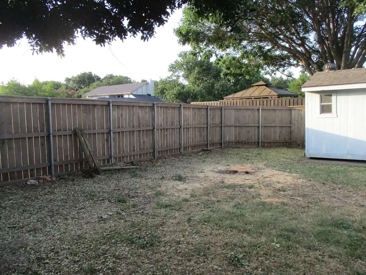 Cleared yard after professional tree removal in Cocolamus