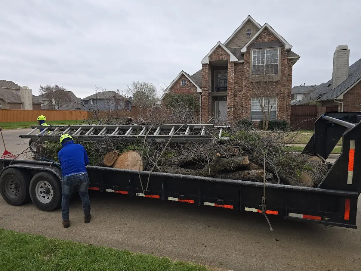 Expert Tree Fertilization with proper safety equipment in Cocolamus